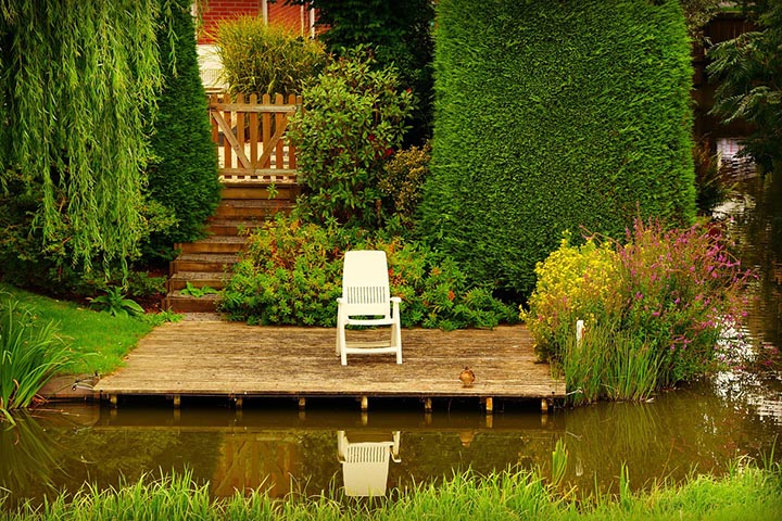 oasis pond